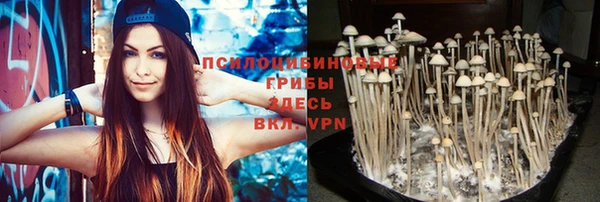 дмт Алексеевка