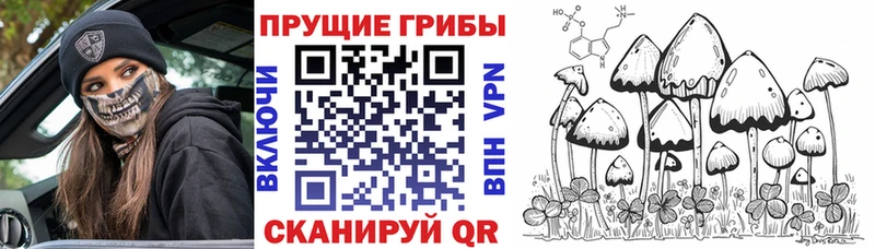 Галлюциногенные грибы ЛСД  купить  сайты  Кингисепп 
